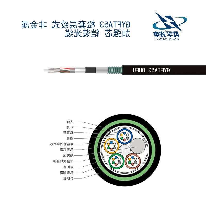 甘南藏族自治州GYFTA53光缆