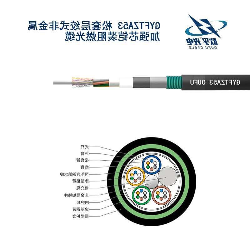 欧孚GYFTZA53光缆